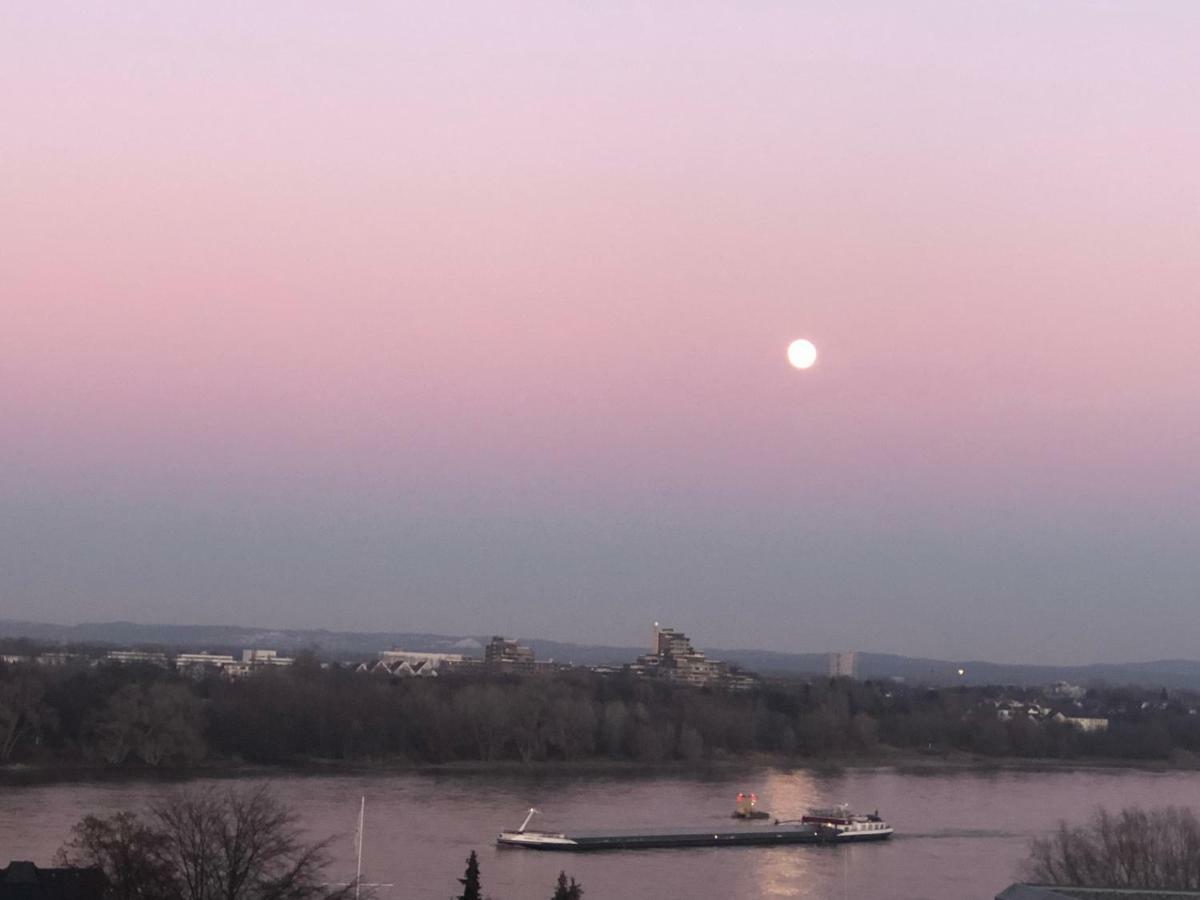 Rheinblick Sommershof Köln